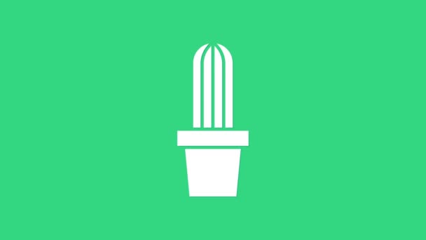 緑色の背景に隔離されたポットアイコンの白いサボテンのペヨーテ。鉢の中で植物が成長する。鉢植えの看板。4Kビデオモーショングラフィックアニメーション — ストック動画