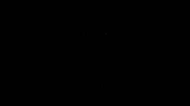 Beyaz çizgi havai fişek ikonu siyah arka planda izole edildi. Eğlence partisi anlayışı. Patlayıcı havai fişek sembolü. 4K Video hareketli grafik canlandırması