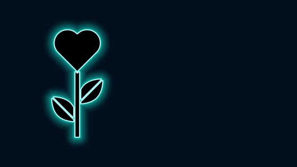 Λαμπερό νέον γραμμή Καρδιά σχήμα σε ένα λουλούδι εικονίδιο που απομονώνονται σε μαύρο φόντο. 4K Γραφική κίνηση κίνησης βίντεο — Αρχείο Βίντεο