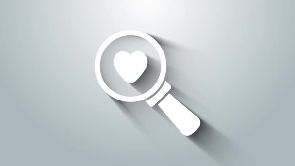 Białe serce wyszukiwania i ikona miłości izolowane na szarym tle. Szkło powiększające z sercem w środku. 4K Animacja graficzna ruchu wideo — Wideo stockowe