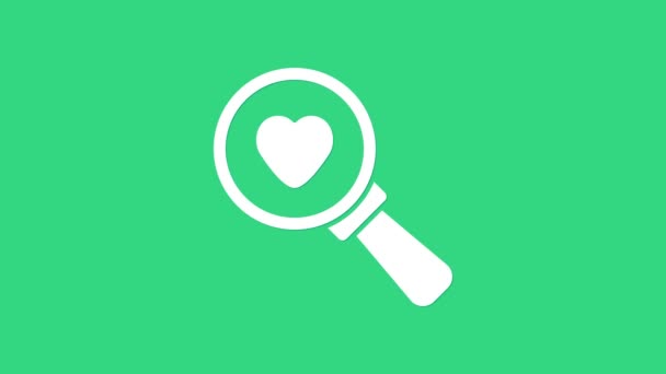 Blanco Buscar corazón y amor icono aislado sobre fondo verde. Lupa con corazón dentro. Animación gráfica de vídeo 4K — Vídeo de stock