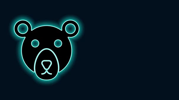 Ragyogó neon vonal Medve fej ikon elszigetelt fekete háttérrel. 4K Videó mozgás grafikus animáció — Stock videók