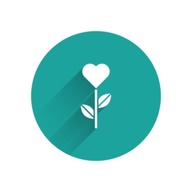 Uzun gölgeli izole bir çiçek ikonunda beyaz kalp şekli. Yeşil daire düğmesi. Vektör.