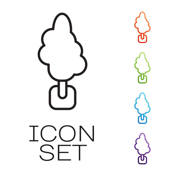 Черная линия Дерево значок изолирован на белом фоне. Символ леса. Набор иконок красочный. Вектор.