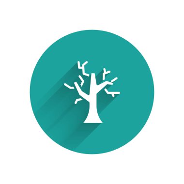 Uzun gölgeli beyaz solmuş ağaç simgesi. Çıplak ağaç. Ölü ağaç silueti. Yeşil daire düğmesi. Vektör.