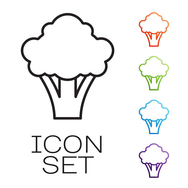 Черная линия Брокколи значок изолирован на белом фоне. Набор иконок красочный. Вектор.