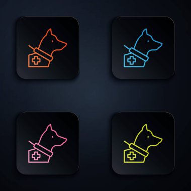 Renkli neon çizgisi rehber köpek simgesi siyah arkaplanda izole edildi. Kare düğmelere simgeleri yerleştir. Vektör.