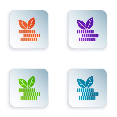 Renkli bitki simgesi beyaz arkaplanda izole edildi. İş yatırımı büyüme konsepti. Para tasarrufu ve yatırım. Kare düğmelere renkli simgeleri yerleştir. Vektör