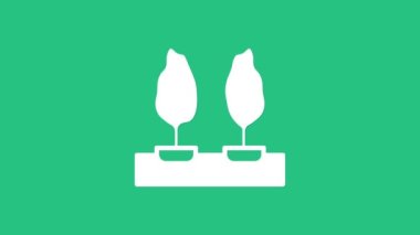 Beyaz Ağaçlar simgesi yeşil arkaplanda izole edildi. Orman sembolü. 4K Video hareketli grafik canlandırması