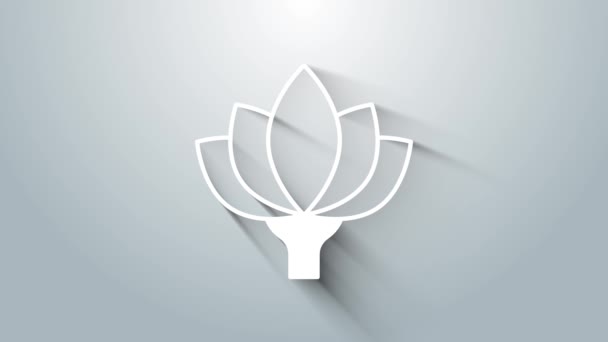 White Lotus flower icon isolated on grey background. 4K Video motion graphic animation — Stock Video