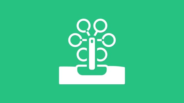 Witte reuzenrad pictogram geïsoleerd op groene achtergrond. Amusementspark. Kinderspeelplaats, recreatiepark. 4K Video motion grafische animatie — Stockvideo