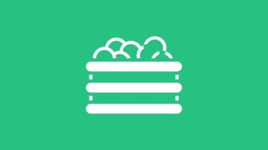 Yeşil arkaplanda taşak simgesi olan beyaz havuz. 4K Video hareketli grafik canlandırması