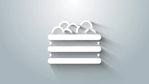 Bílý bazén s kuličkami ikony izolované na šedém pozadí. Grafická animace pohybu videa 4K — Stock video
