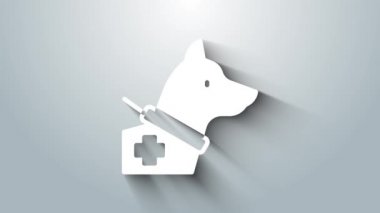 Beyaz Rehber köpek simgesi gri arkaplanda izole edildi. 4K Video hareketli grafik canlandırması