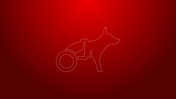 Línea verde Perro paralítico en silla de ruedas icono aislado sobre fondo rojo. Animación gráfica de vídeo 4K — Vídeos de Stock