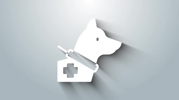 White Guide dog icon isolated on grey background. 4K Video motion graphic animation — Vídeo de Stock