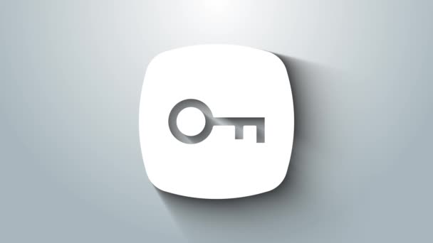 White Key icon isolated on grey background. 4K Video motion graphic animation — Stock Video