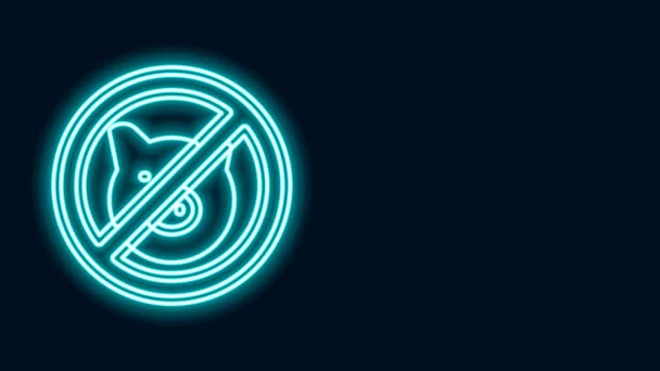 Glowing neon line No pig icon isolated on black background. Stop pork. Animal symbol. 4K Video motion graphic animation — Stock video