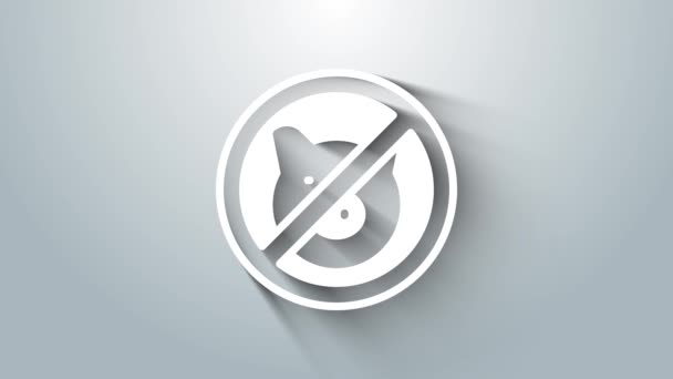 White No pig icon isolated on grey background. Stop pork. Animal symbol. 4K Video motion graphic animation — Vídeo de Stock