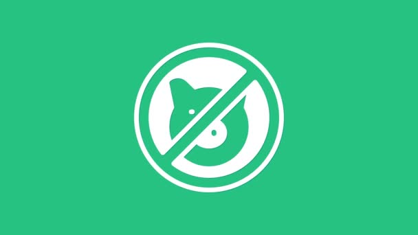 White No pig icon isolated on green background. Stop pork. Animal symbol. 4K Video motion graphic animation — Stock video