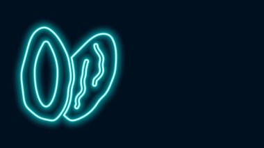 Parlayan neon çizgisi Tarih meyve simgesi siyah arkaplanda izole. 4K Video hareketli grafik canlandırması