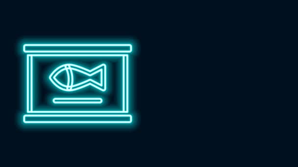 Ragyogó neon vonal Konzerv hal ikon elszigetelt fekete háttérrel. 4K Videó mozgás grafikus animáció — Stock videók