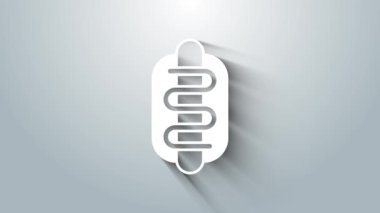 Beyaz Hotdog sandviç ikonu gri arkaplanda izole edilmiş. Sosis ikonu. Fast food burcu. 4K Video hareketli grafik canlandırması