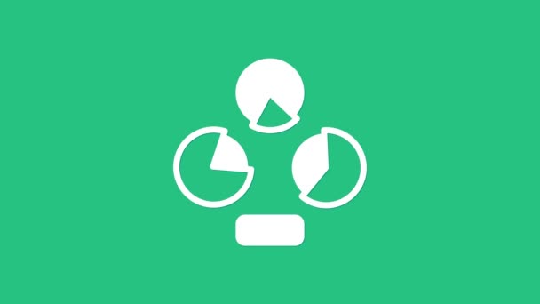 White Pie chart infographic icoon geïsoleerd op groene achtergrond. Grafiekteken. 4K Video motion grafische animatie — Stockvideo