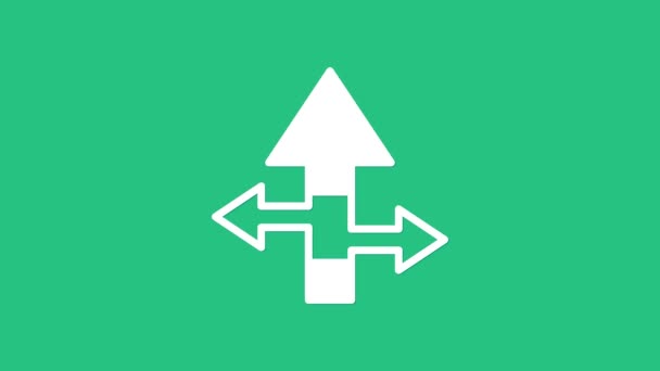 Biała ikona strzałek odizolowana na zielonym tle. Symbol Arrowhead kierunku. Znak nawigacyjny. 4K Animacja graficzna ruchu wideo — Wideo stockowe
