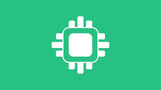 Processador de computador branco com microcircuitos ícone CPU isolado em fundo verde. Chip ou cpu com placa de circuito. Micro processador. Animação gráfica em movimento de vídeo 4K — Vídeo de Stock