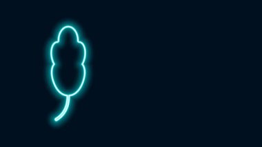 Parlayan neon hattı Feather simgesi siyah arkaplanda izole edildi. 4K Video hareketli grafik canlandırması