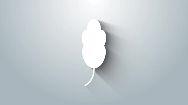 Bílé pírko ikona izolované na šedém pozadí. Grafická animace pohybu videa 4K — Stock video
