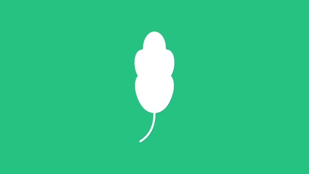 Icono de Pluma Blanca aislado sobre fondo verde. Animación gráfica de vídeo 4K — Vídeos de Stock