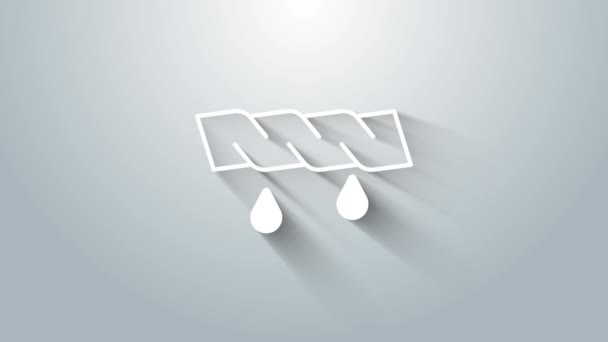 White Squeeze oblečení ikona izolované na šedém pozadí. Grafická animace pohybu videa 4K — Stock video