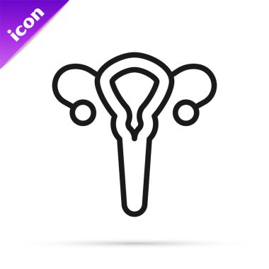 Siyah çizgi dişi üreme sistemi simgesi beyaz arkaplanda izole edildi. Anatomi. Jinekoloji. Kadın sağlığı. Vektör