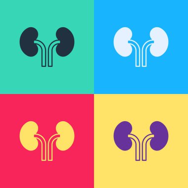 Pop Art Human böbrekleri renkli arka planda izole edilmiş. Vektör