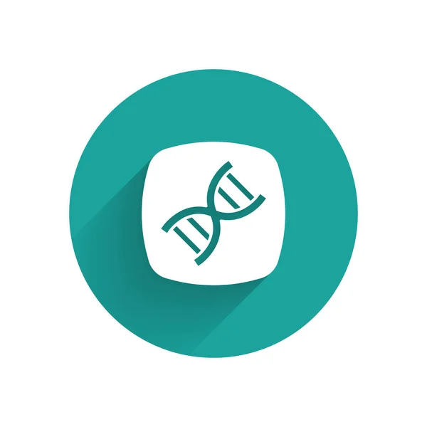 Icono de símbolo de ADN blanco aislado con fondo de sombra largo. Botón círculo verde. Vector — Archivo Imágenes Vectoriales