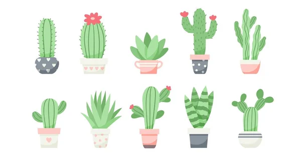 Ensemble de cactus mignons et succulents, illustration vectorielle dans un style plat — Image vectorielle