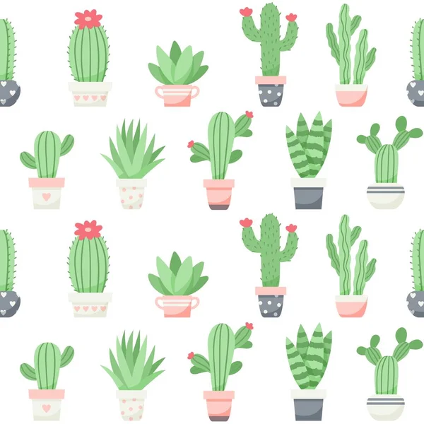 Mignon modèle de cactus et succulents, illustration vectorielle dans un style plat — Image vectorielle