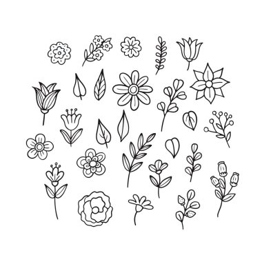 El çizimi çiçekler ve yapraklar. Vektör illüstrasyonu