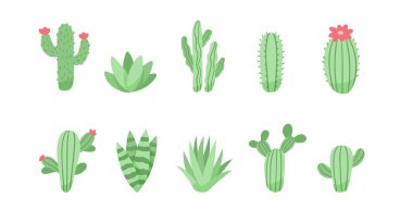 Şirin kaktüsler ve sulandırıcılardan oluşan düz bir vektör çizimi.
