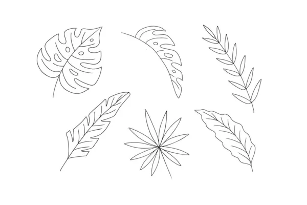 Collection de feuilles tropicales, éléments isolés dessinés à la main. Illustration vectorielle — Image vectorielle