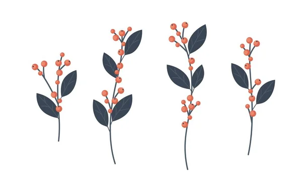 Collection de branches de houx, illustration vectorielle de décoration d'hiver ilex dans un style plat — Image vectorielle