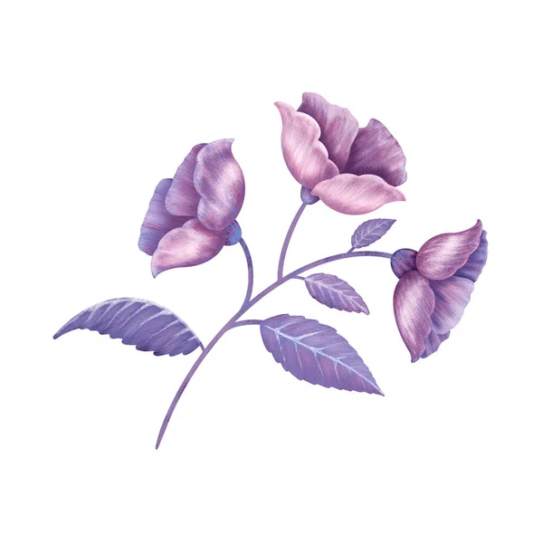 Ilustracja Gałązka Trzech Kwiatów Liści Ręczny Rysunek Projekt Dekoracji Różnych — Zdjęcie stockowe