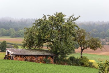 туман падіння краєвид