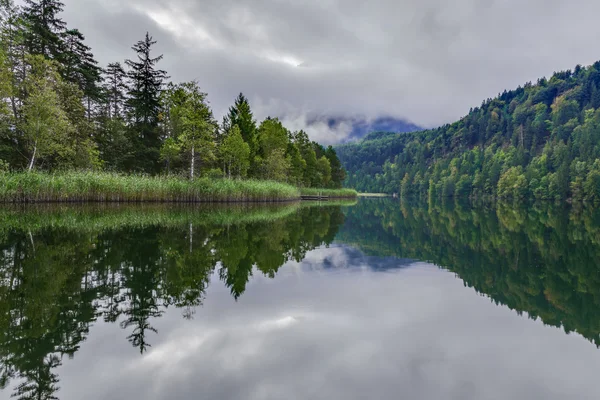 호엔슈반가우 근처 alpsee — стокове фото