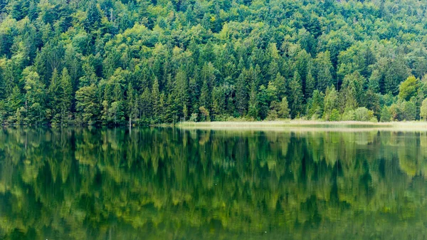 Alpsee near Hohenschwangau — Stock Photo, Image