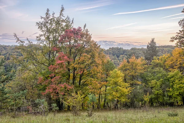 Mooie herfst — Stockfoto