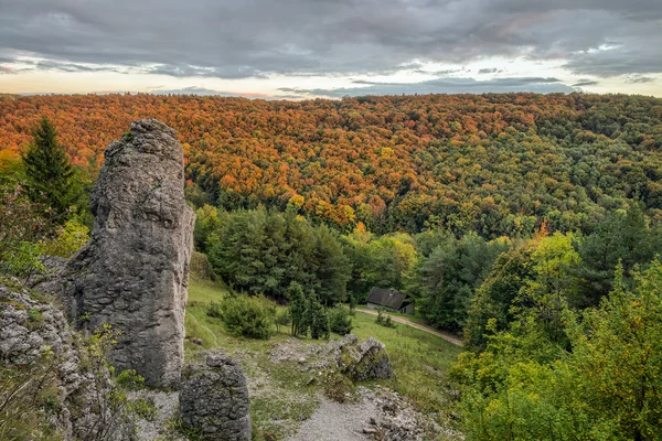 Rocks in an Autumn Forest — Stock Photo, Image