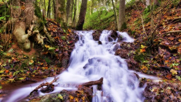 Herfst waterval — Stockfoto